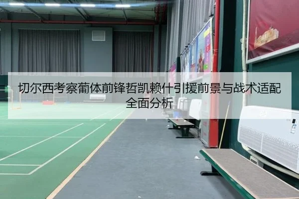 切尔西考察葡体前锋哲凯赖什引援前景与战术适配全面分析