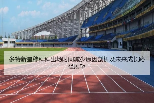 多特新星穆科科出场时间减少原因剖析及未来成长路径展望